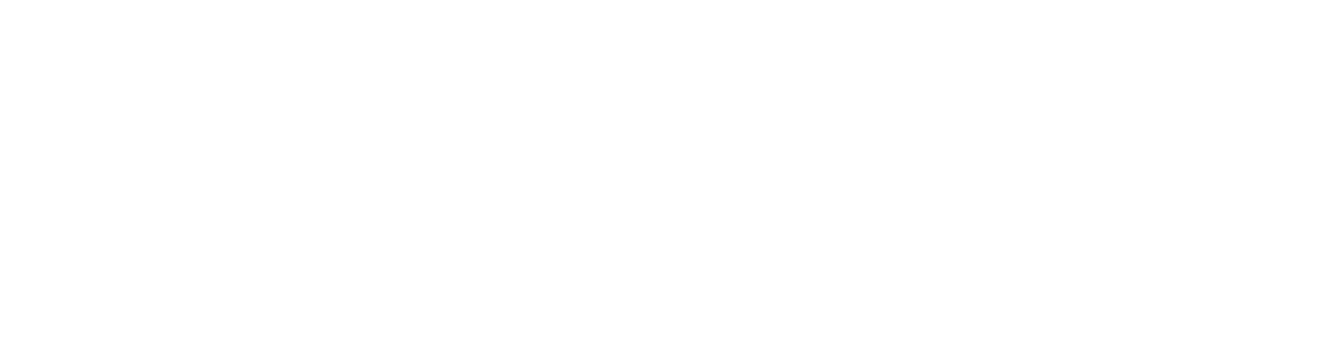 Logo de MAGNO